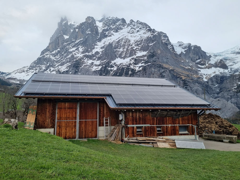 Projekt Landwirtschaft
